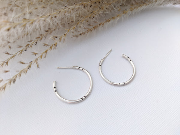 Silver Hoops