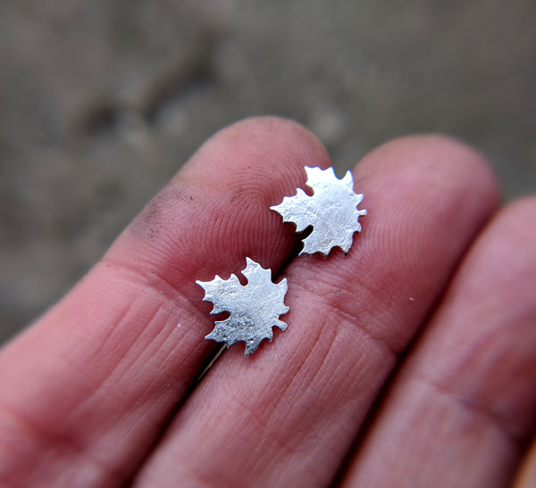 Maple Leaf Studs